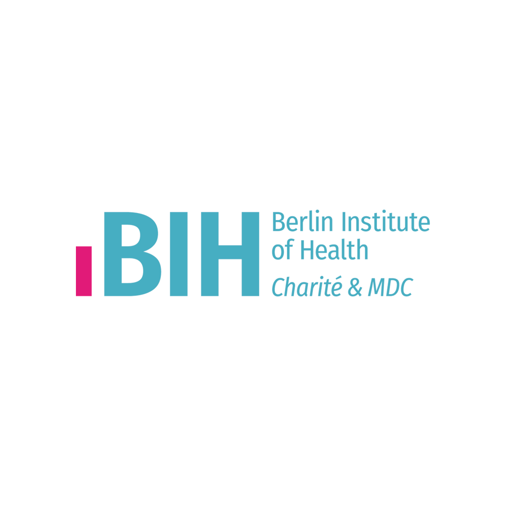 BIH Logo